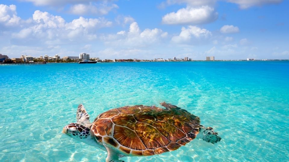 Cancun