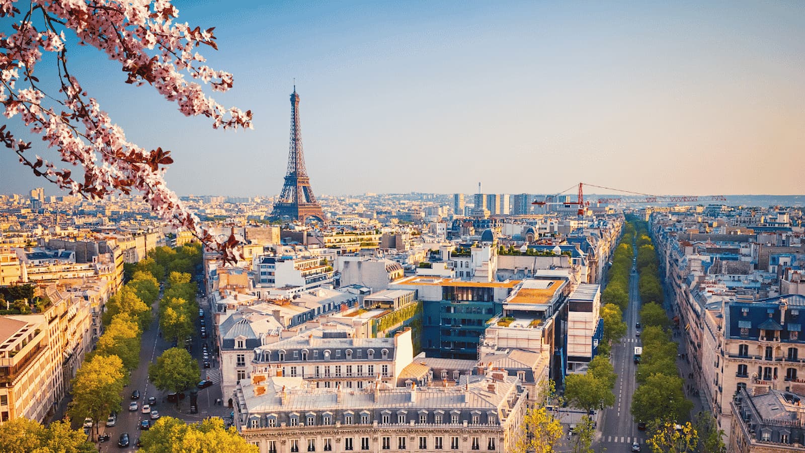 Eiffel Tower at golden hour with cherry blossoms in the foreground